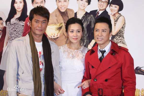 甄子丹(Donnie Yen)参与影视宣传壁纸壁纸