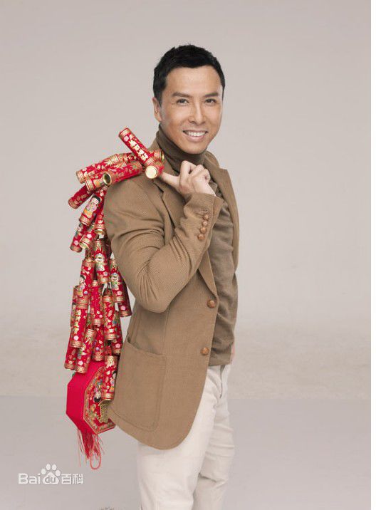 甄子丹(Donnie Yen)参与影视宣传壁纸壁纸