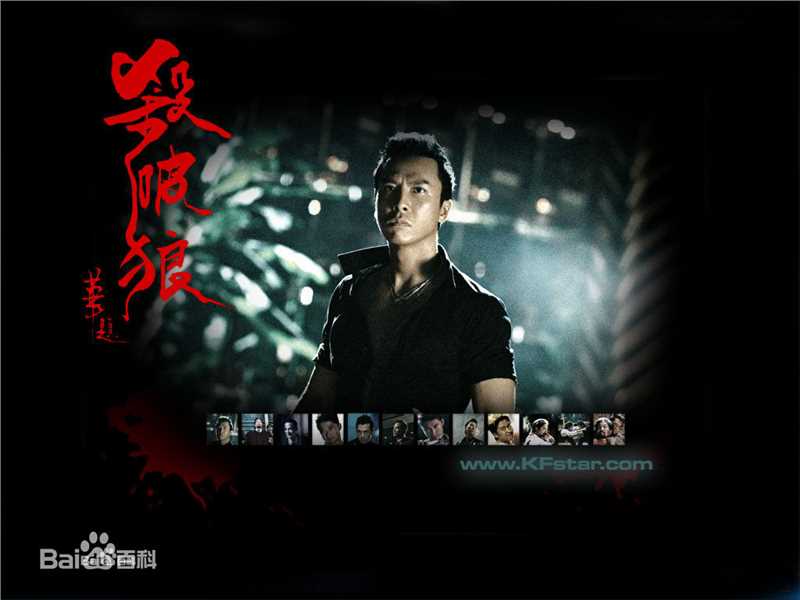 高清甄子丹(Donnie Yen)图片