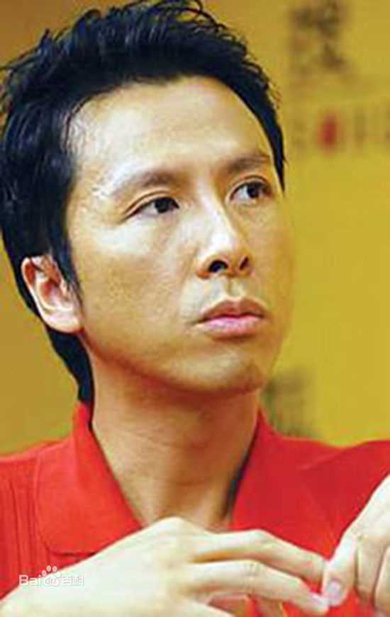 甄子丹(Donnie Yen)前后照片