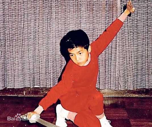 甄子丹(Donnie Yen)早年照片前后照片