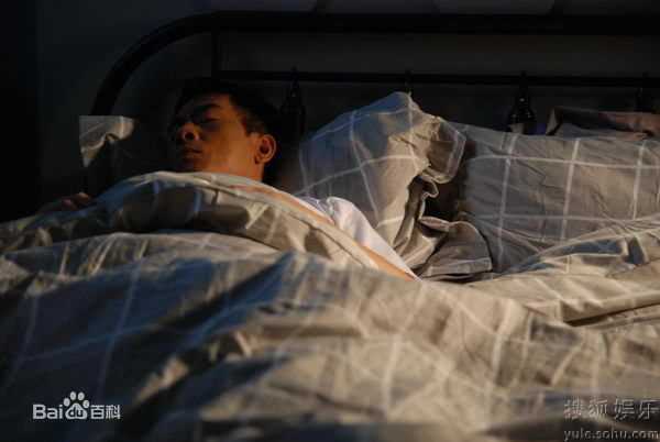 甄子丹(Donnie Yen)精彩图册