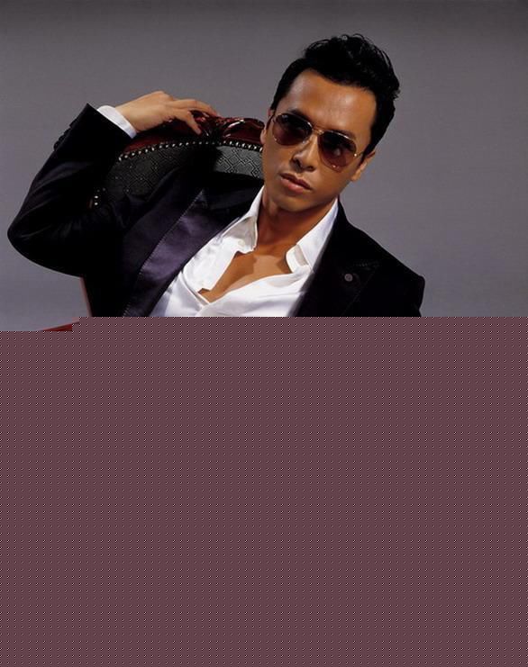 精选甄子丹(Donnie Yen)精彩图册