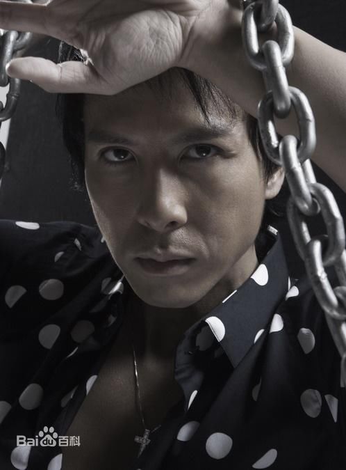 精选甄子丹(Donnie Yen)精彩图册