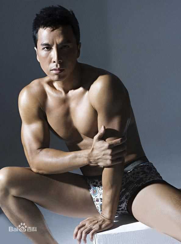 精选甄子丹(Donnie Yen)精彩图册