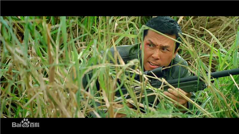 精选甄子丹(Donnie Yen)精彩图册