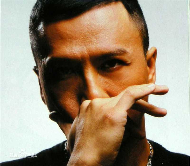 精选甄子丹(Donnie Yen)精彩图册