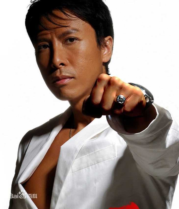 精选甄子丹(Donnie Yen)精彩图册