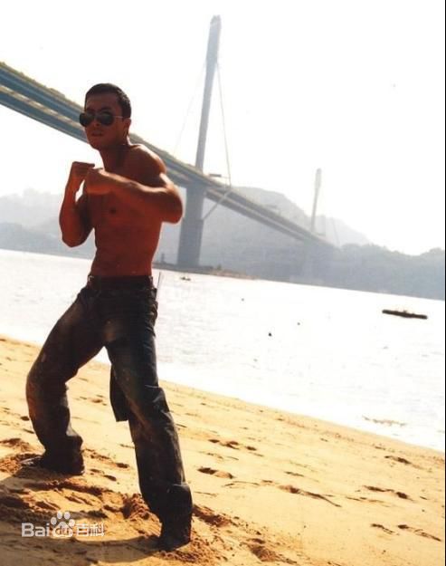 精选甄子丹(Donnie Yen)精彩图册