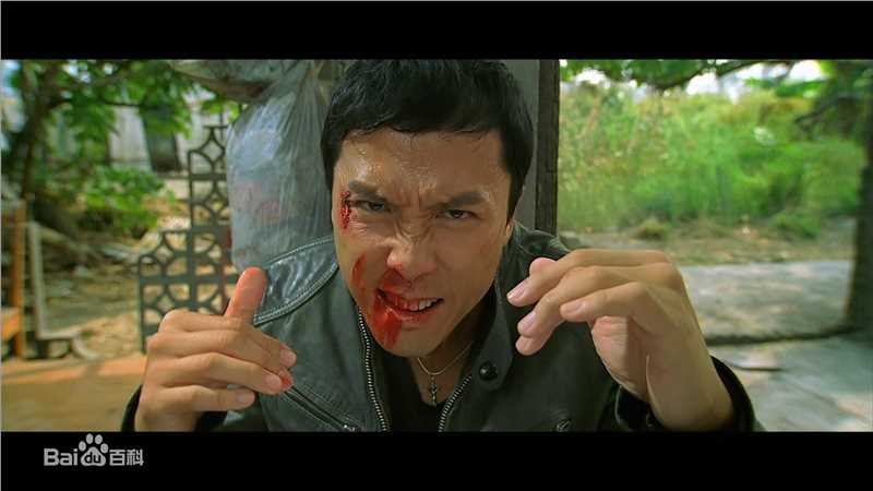 最优质甄子丹(Donnie Yen)精彩图册