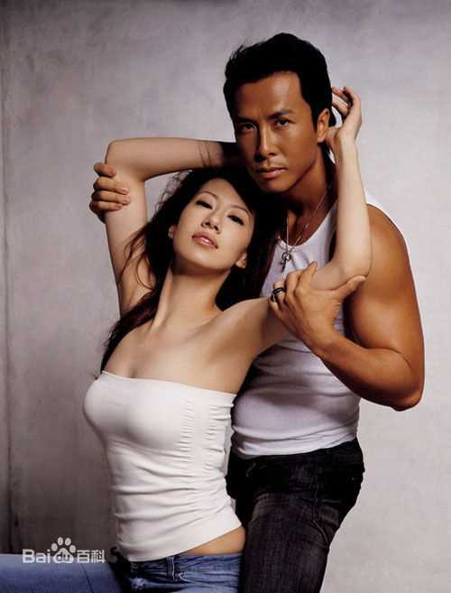 最优质甄子丹(Donnie Yen)精彩图册