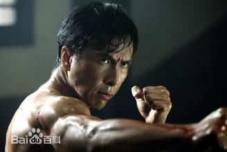高清甄子丹(Donnie Yen)图片