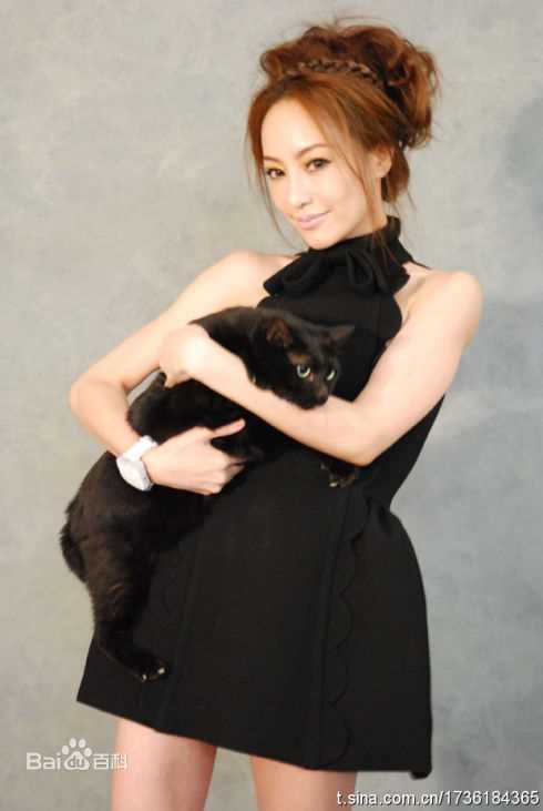 关颖(Terri Kwan)最全个人（一）壁纸