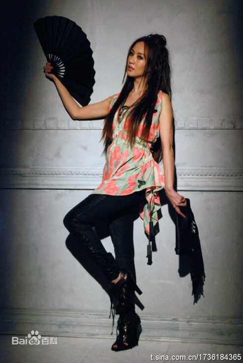 关颖(Terri Kwan)最全个人（一）壁纸