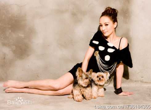 关颖(Terri Kwan)微博贴图（二）性感图片图集