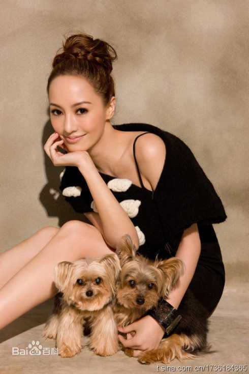 关颖(Terri Kwan)微博贴图（二）性感图片图集