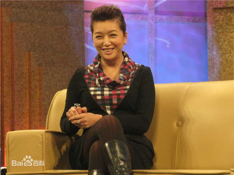 最优质江珊(Jiang Shan)在2010年《鲁豫有约》活动中的