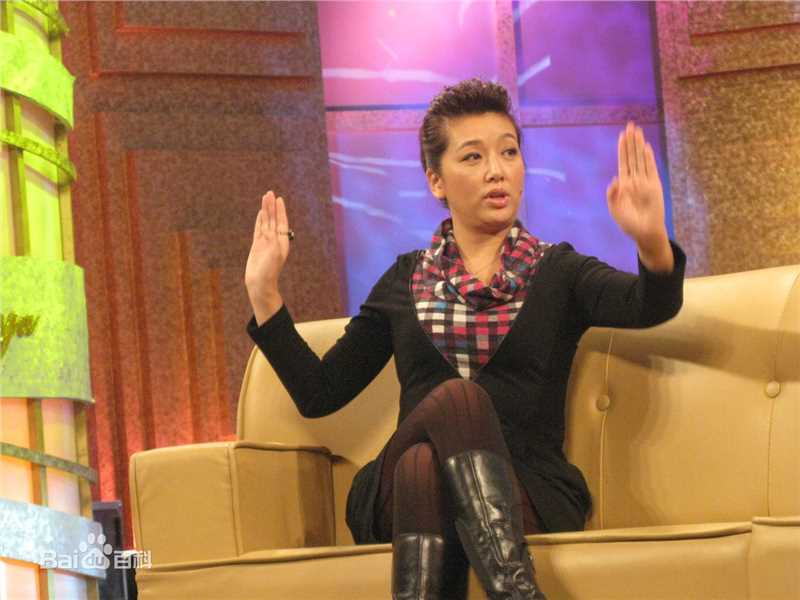 最优质江珊(Jiang Shan)在2010年《鲁豫有约》活动中的