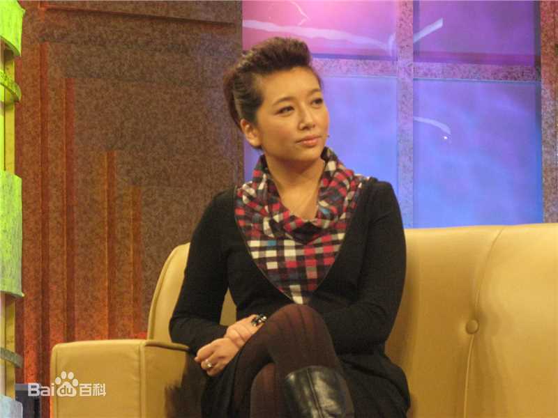 最优质江珊(Jiang Shan)在2010年《鲁豫有约》活动中的