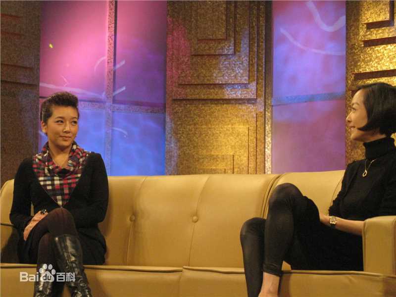 最优质江珊(Jiang Shan)在2010年《鲁豫有约》活动中的