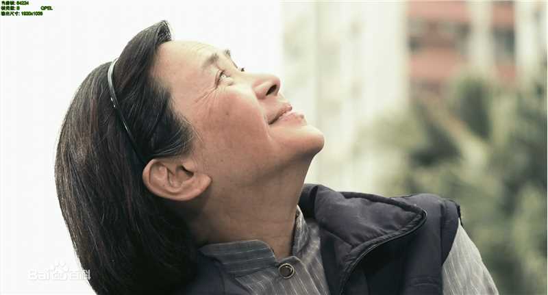 叶德娴(Ip Tak Han、Deanie Ip)精彩图册