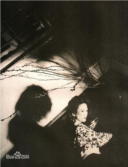 叶德娴(Ip Tak Han、Deanie Ip)精彩图册