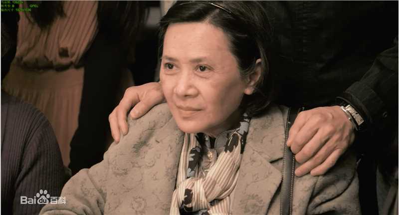 叶德娴(Ip Tak Han、Deanie Ip)精彩图册