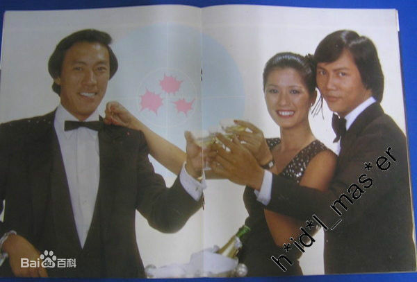 精选叶德娴(Ip Tak Han、Deanie Ip)