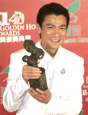 刘德华(Andy Lau，Lau Tak Wah)获奖照片图片图集