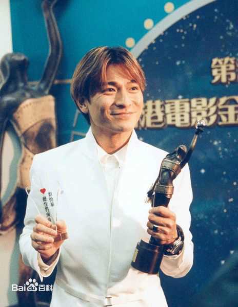 刘德华(Andy Lau，Lau Tak Wah)获奖照片图片图集