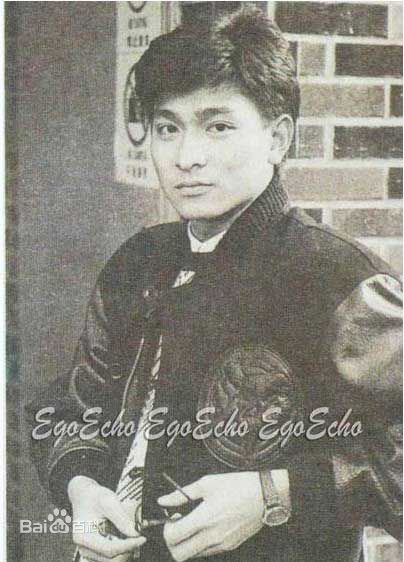 精选刘德华(Andy Lau，Lau Tak Wah)在83年陈玉莲版《神雕侠侣》中的图册