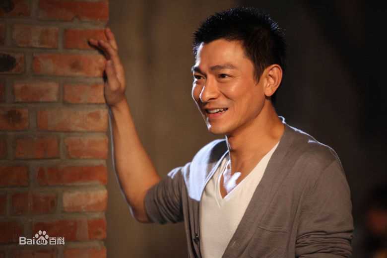 最优质刘德华(Andy Lau，Lau Tak Wah)生活照