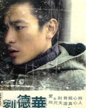 最新刘德华(Andy Lau，Lau Tak Wah)壁纸