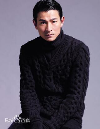 最全刘德华(Andy Lau，Lau Tak Wah)素颜照