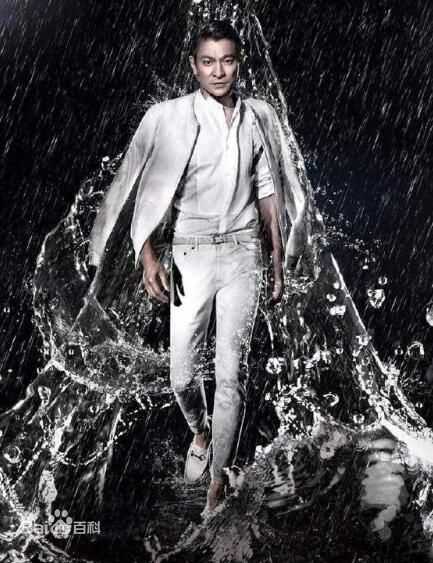 最全刘德华(Andy Lau，Lau Tak Wah)素颜照