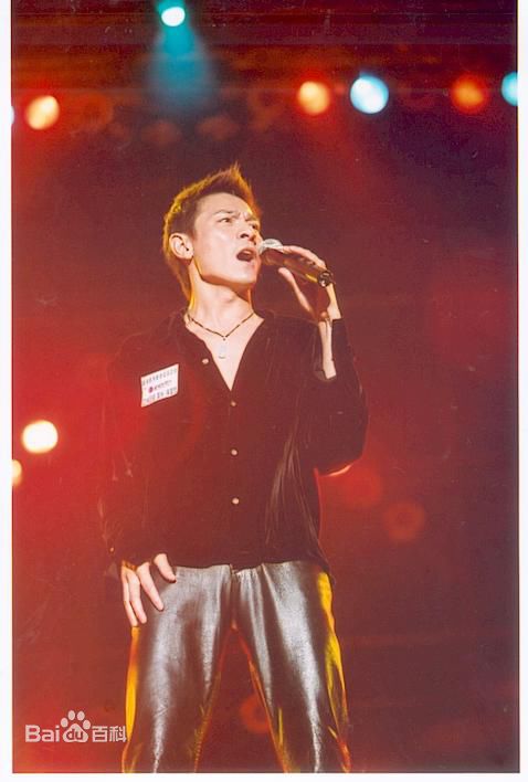 最优质刘德华(Andy Lau，Lau Tak Wah)精彩图册2