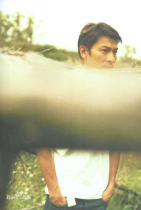 最优质刘德华(Andy Lau，Lau Tak Wah)精彩图册2