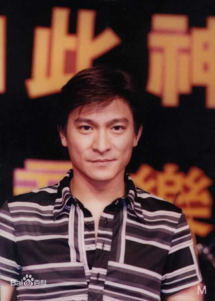 最优质刘德华(Andy Lau，Lau Tak Wah)精彩图册2
