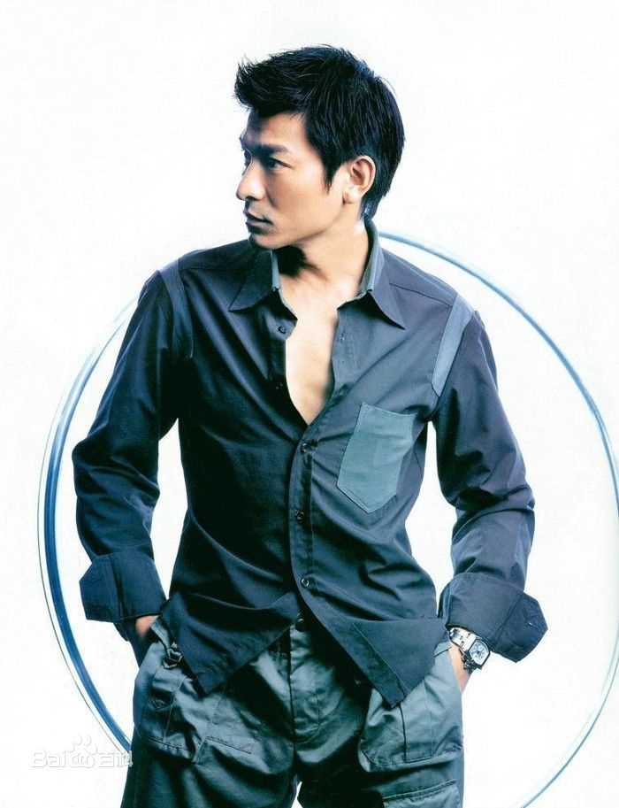 最优质刘德华(Andy Lau，Lau Tak Wah)精彩图册2