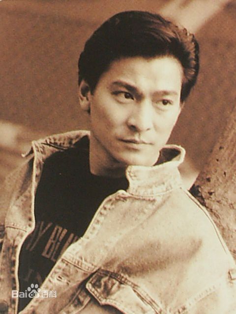 最优质刘德华(Andy Lau，Lau Tak Wah)精彩图册2