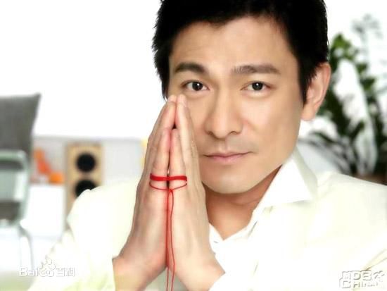 最优质刘德华(Andy Lau，Lau Tak Wah)精彩图册2