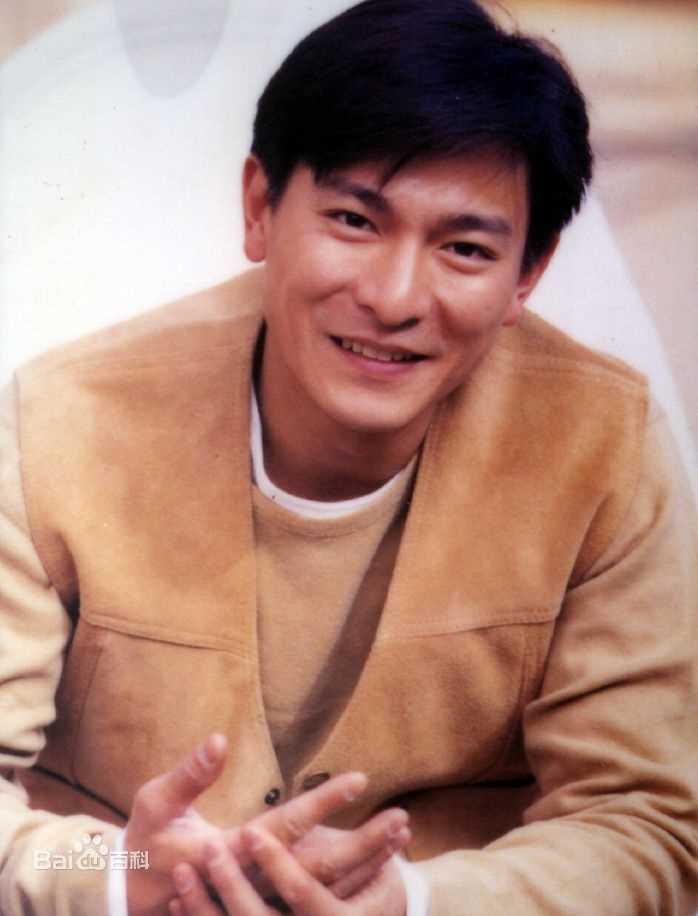 最优质刘德华(Andy Lau，Lau Tak Wah)精彩图册2