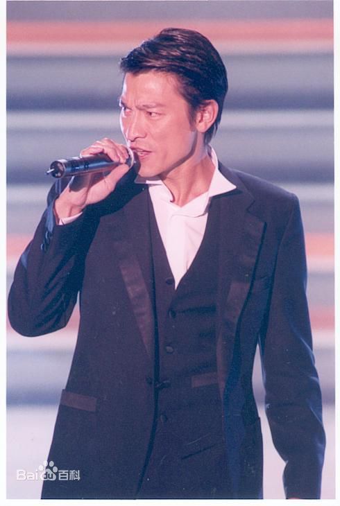 最优质刘德华(Andy Lau，Lau Tak Wah)精彩图册2