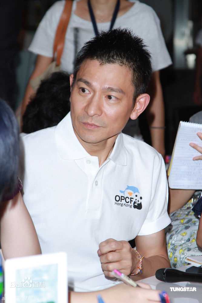 最全刘德华(Andy Lau，Lau Tak Wah)精彩图册