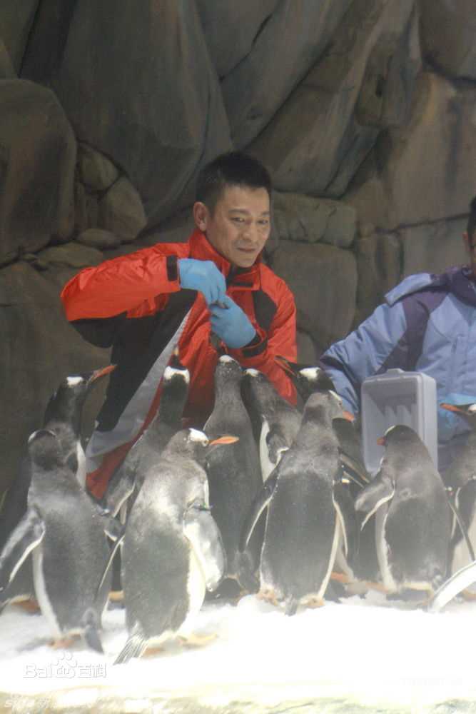 最全刘德华(Andy Lau，Lau Tak Wah)精彩图册