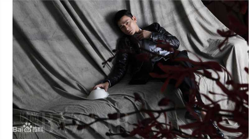 最全刘德华(Andy Lau，Lau Tak Wah)精彩图册