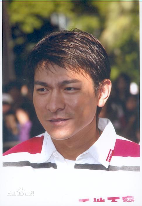 最全刘德华(Andy Lau，Lau Tak Wah)精彩图册1