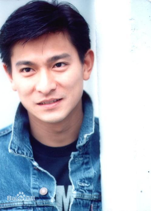 最全刘德华(Andy Lau，Lau Tak Wah)精彩图册1
