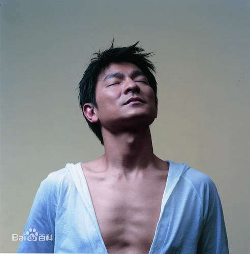 最全刘德华(Andy Lau，Lau Tak Wah)精彩图册1