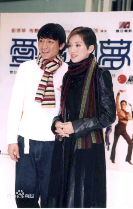 最全刘德华(Andy Lau，Lau Tak Wah)精彩图册1